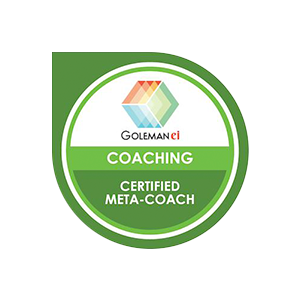 Goleman Ei Certified Meta-Coach